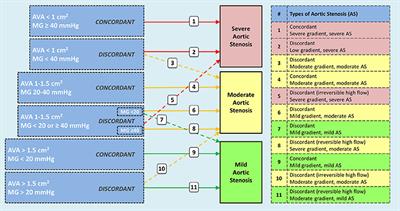 Moderate Aortic Stenosis and Reduced Left Ventricular Ejection Fraction: Current Evidence and Challenges Ahead